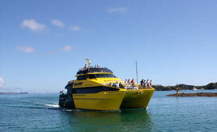 Explore Waiheke