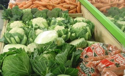 Selwyn Fresh Wycola