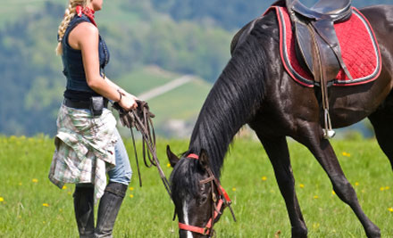 Magic Mountain Horse Treks