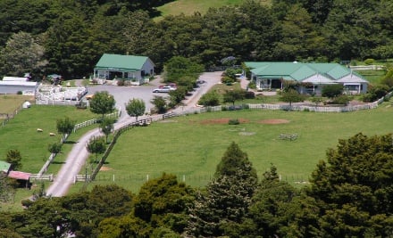 Serendipity Farm Park