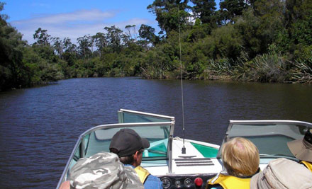 White Heron Sanctuary Tours - South Westland