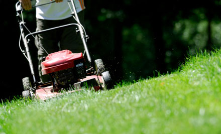 Big Al's Lawns n More