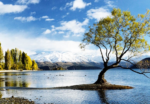 $99 for One Night for Two People in a Lakeview Studio Room or $195 for Two Nights incl. Continental Breakfasts
