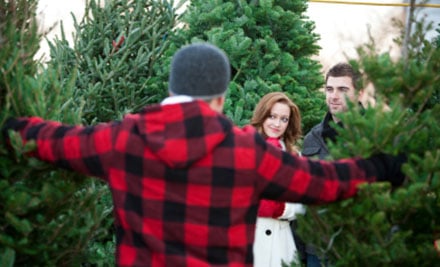 Bayview Christmas Trees