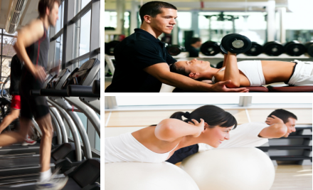 Fitness Shed Mooloolaba