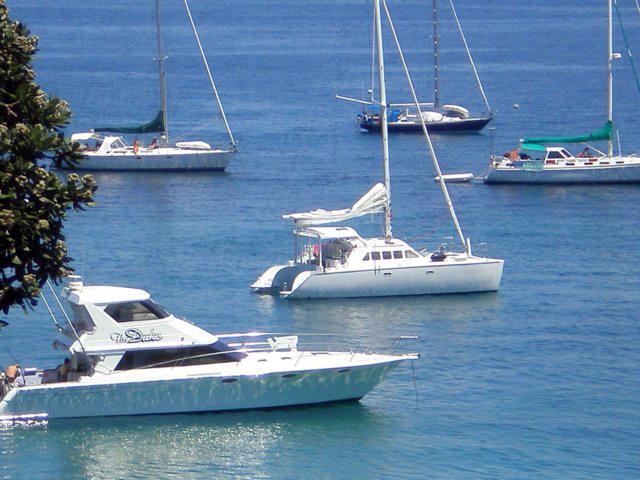 Catamaran Charters