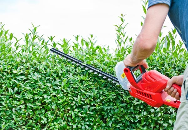 Walker Property Maintenance