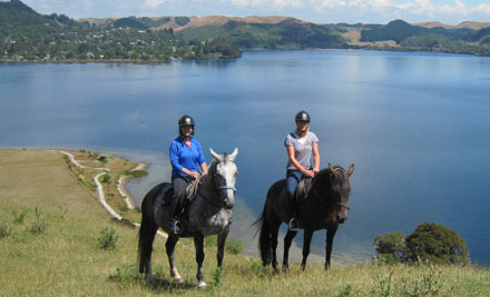 Horse Trekking Lake Okareka