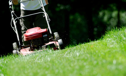Sunshine Lawn & Garden Care