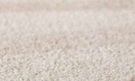 BJ Carpet Cleaning & Pest Control