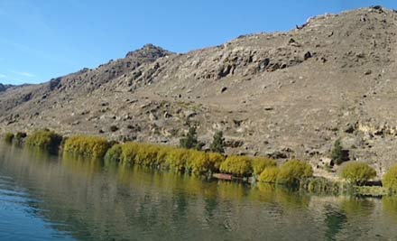 Clutha River Cruises