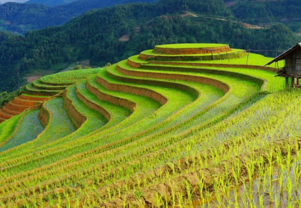 Per Person, Twin-Share 12-Day Vietnam Getaway Incl. Breakfasts, Accommodation, Domestic Flights, 2-Day Halong Bay Cruise, Airport Transfers, Trekking & More - Option for Three, Four & Five Star Accommodation Packages