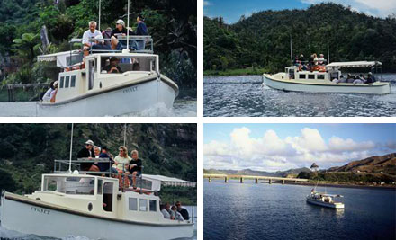 Mokau River Cruises