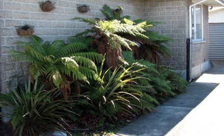 H & S Landscape Design