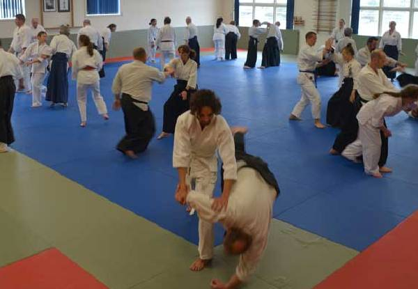 RIAI AIKIDO WELLINGTON INCORPORATED