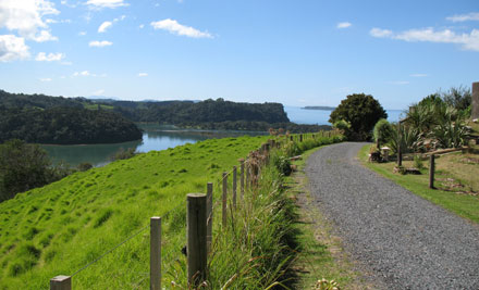 Matakana Coastal Getaway Wine Tour