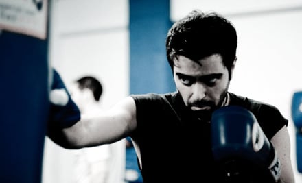 New Zealand Muay Thai Institute Ltd