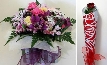 All About Flowers