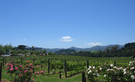 Ransom Wines