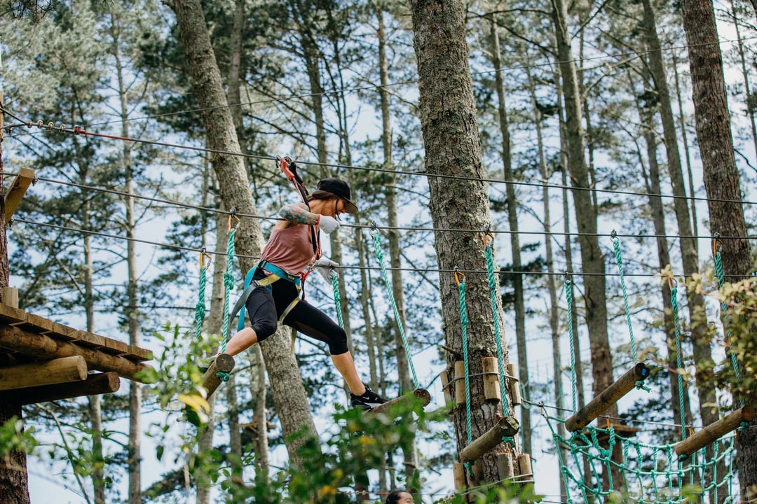 One Adult or Child Admission to Adrenalin Forest Park Christchurch - Valid Thursday to Sunday
