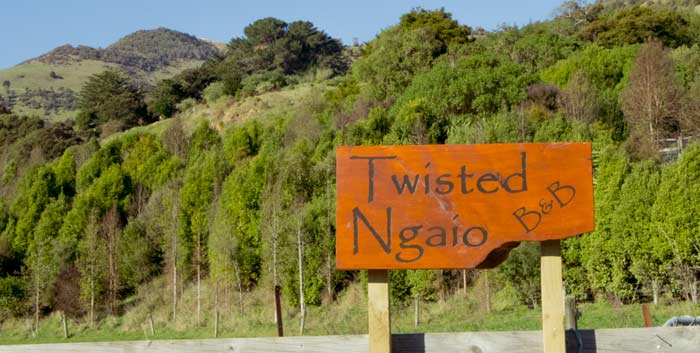 The Twisted Ngaio