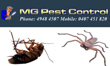 MG Pest Control Services