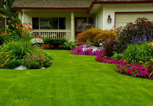 Treat Your Lawn