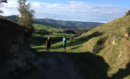 Hawke's Bay Trail Run Series