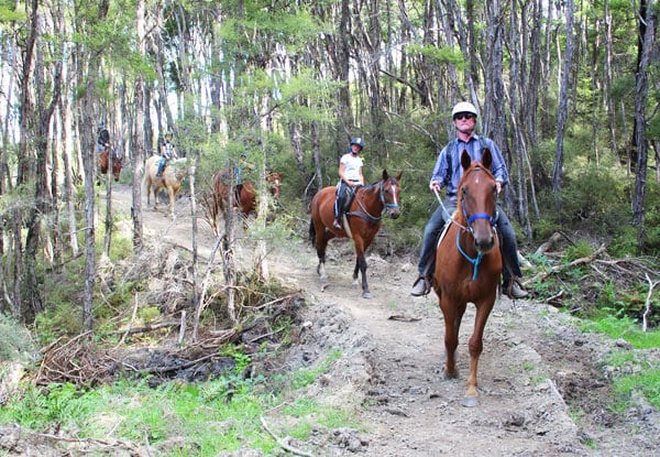Hanmer Horse Trekking