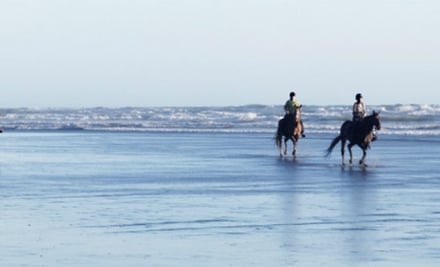 Dune Lakes Lodge