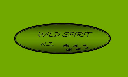 Wild Spirit NZ