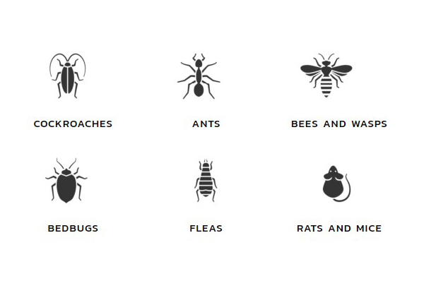 Ventura Pest Management