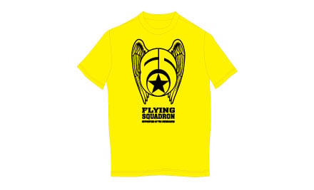 Flying Squadron