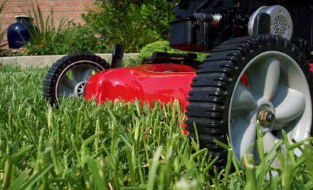Peter Rowe Lawnmowing