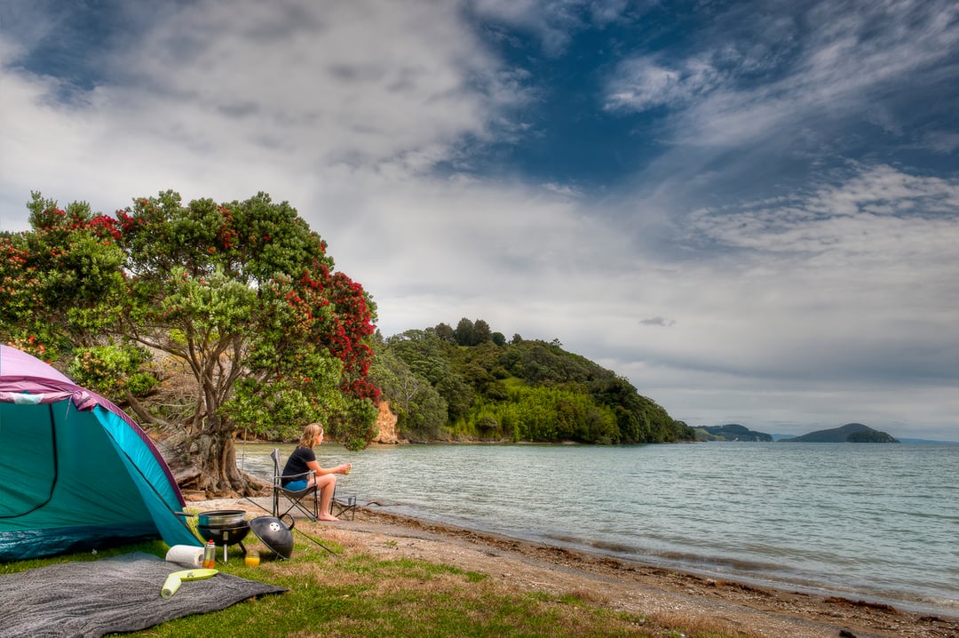 Coromandel Shelly Beach Top 10 Holiday Park