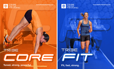 Tribe Team Training Studio