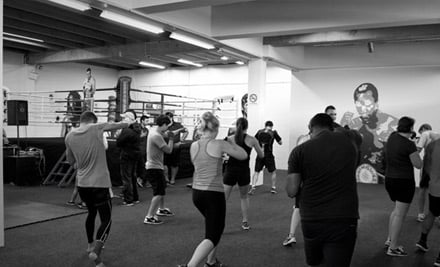 City Boxing