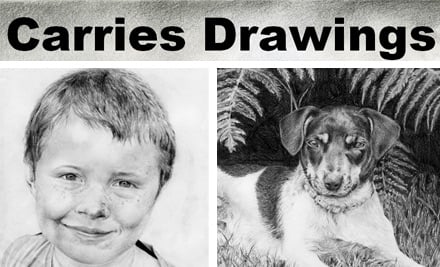 Carries Drawings