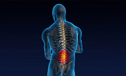 Bay Chiropractic