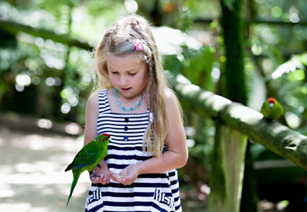 $24 for One Entry for Two Adults OR One Adult & up to Three Children (value up to $48)
