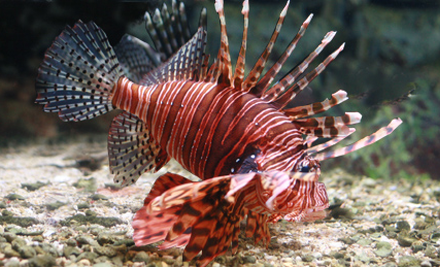 UnderWater World