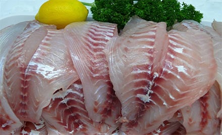 Egmont Seafoods
