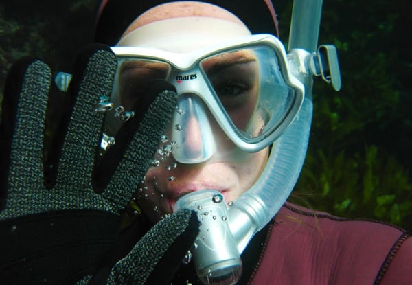 $69 for a Guided Four-Hour Snorkel Experience at Either Goat Island or Tawharanui Marine Reserves or $130 for Two People - Both Incl. Boat Trip, Snorkel Gear, Fins & Wetsuit (value up to $260)