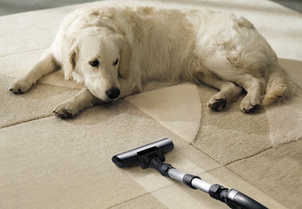 From $34 for Home Carpet Cleaning - Options Available for One, Two, Three & Four Bedroom Homes (value up to $175)
