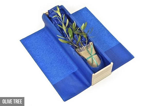 From $35 for a Father's Day Designer Tree Gift Box with Personalised Gift Card and Iced Heart Shaped Cookies - Free Shipping
