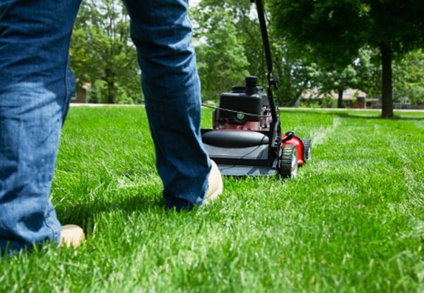 Smart Lawn Mowing