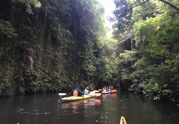 Three-Hour Glow Worm Adventure Kayak Trip - Option for Two Adults or Family Pass