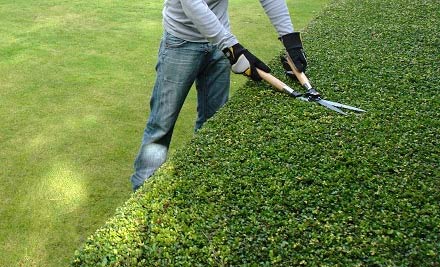 Tauranga Garden Services