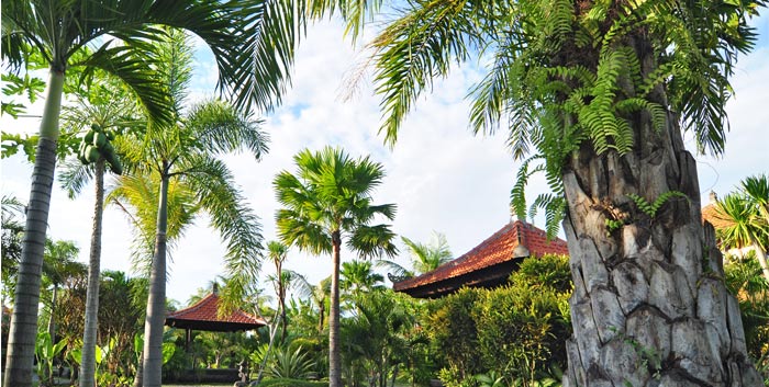 Bali Aroma Exclusive Villas