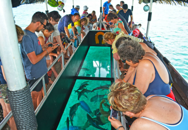 Koka Lagoon Cruises